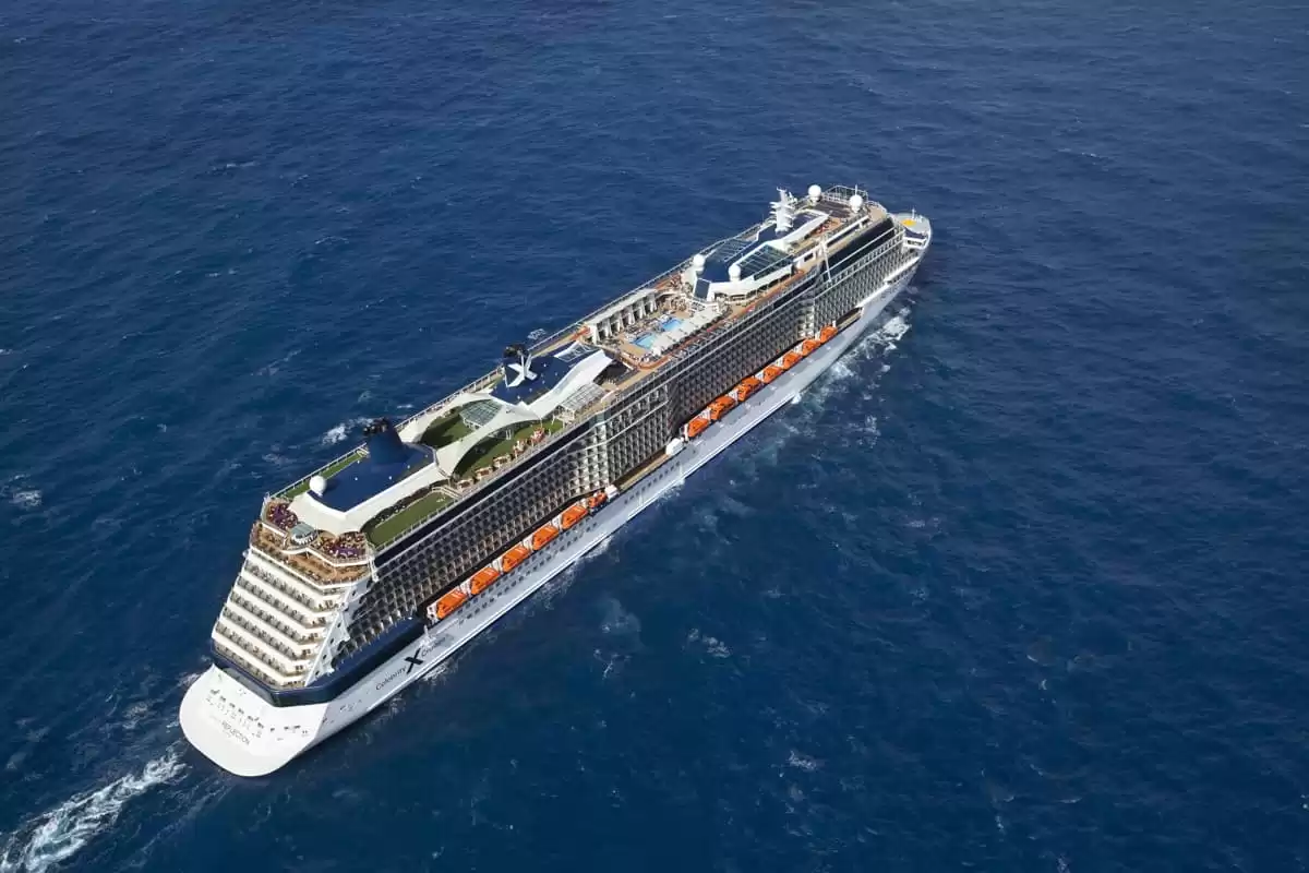 Celebrity Reflection