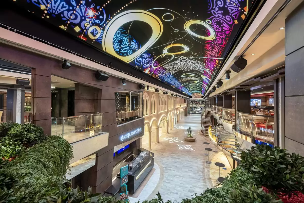 Il MSC Virtuosa :  cabine 6