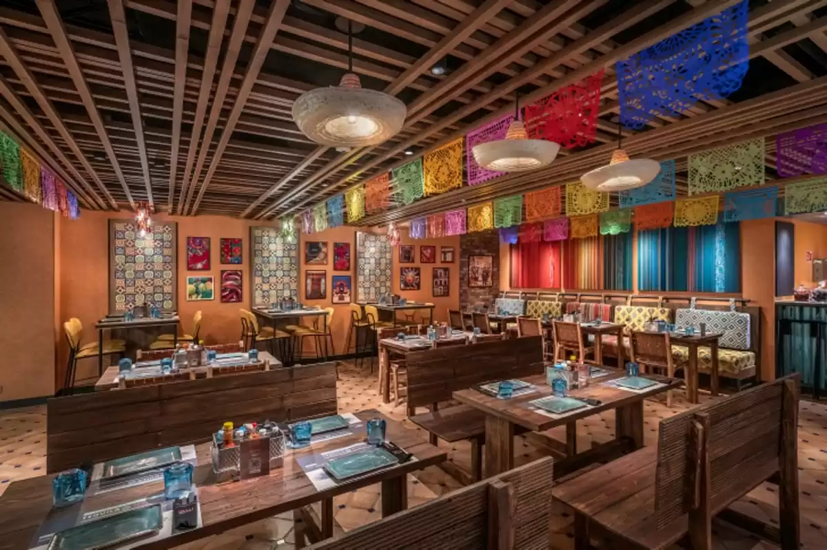 Il MSC World Europa :  cabine 47