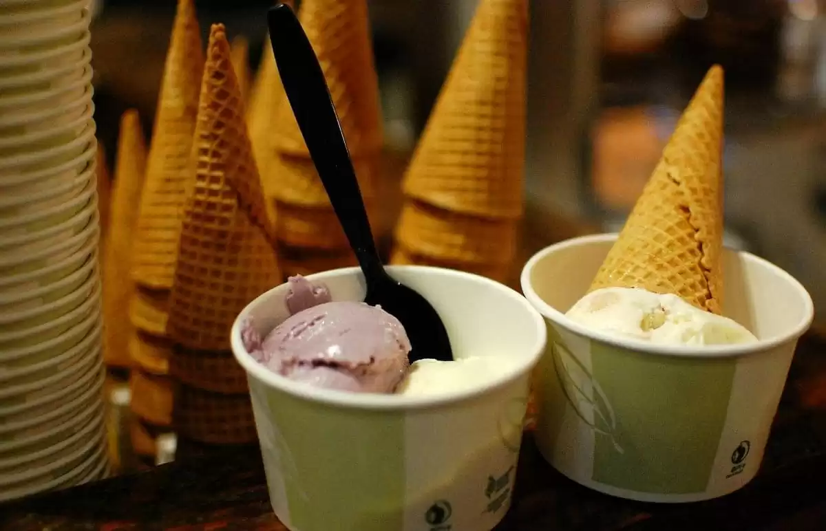 Il Explorer of the Seas :  cabine 37