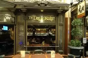Dog & Badger Pub