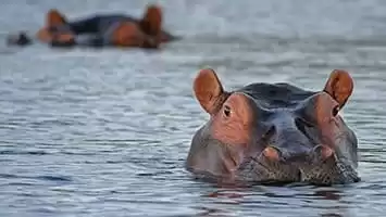 Botswana