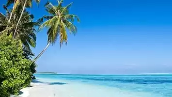Caraibi