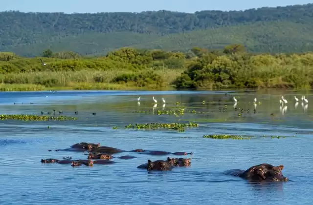 All'iSimangaliso Wetland Park