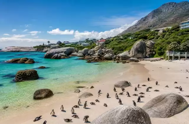 Nella penisola del Capo