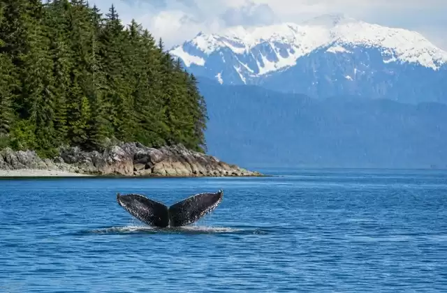 A Icy Strait Point