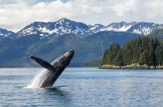 A Juneau