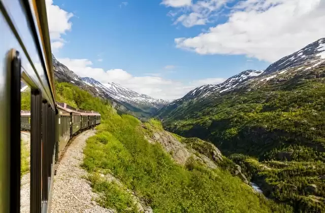 Dal treno del White Pass