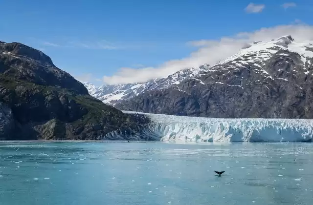 A Glacier Bay