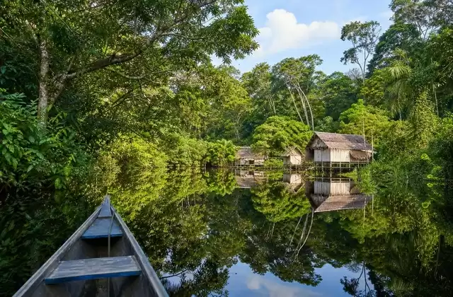 In Amazzonia