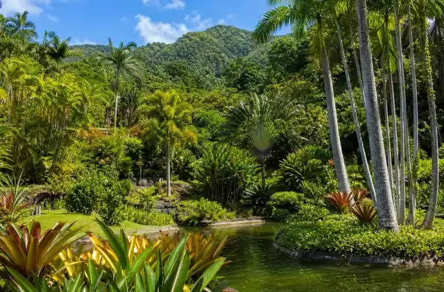 Jardin de Balata