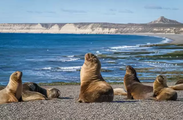 A Puerto Madryn