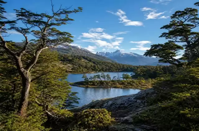 Nel parco Tierra del Fuego