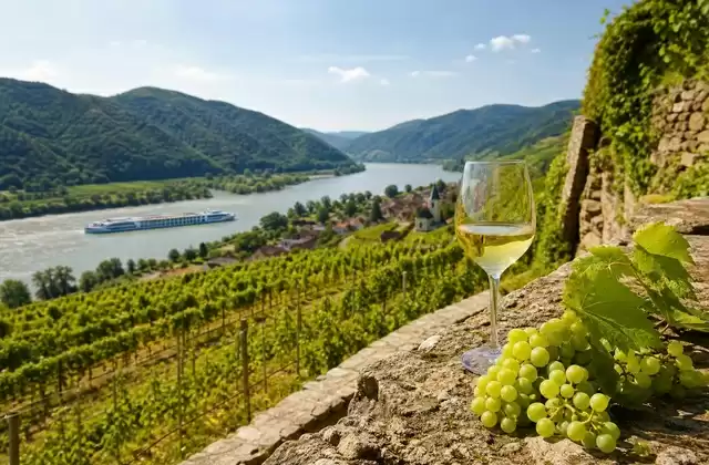 Vini della Wachau