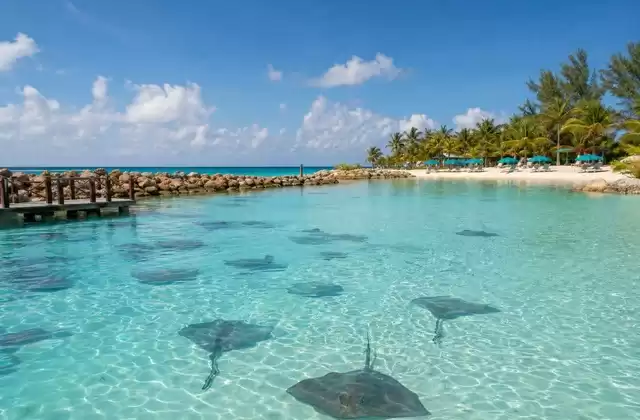 A Great Stirrup Cay (NCL)