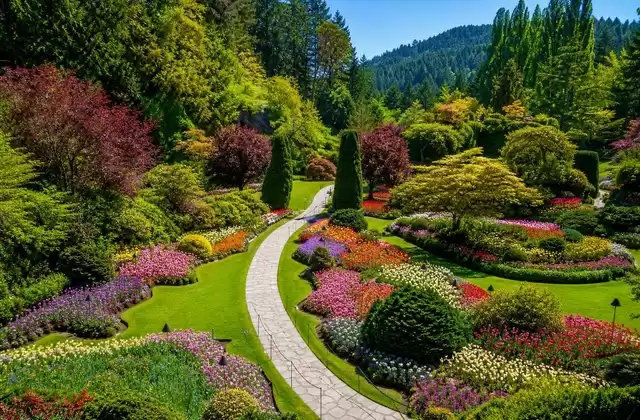 Isola di Vancouver