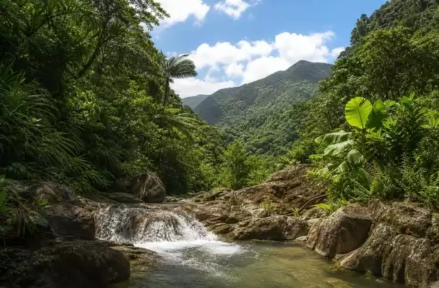 A Porto Rico