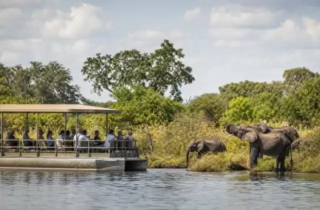 Fiume Chobe