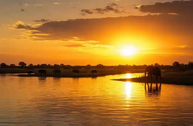 Tramonto sul Chobe