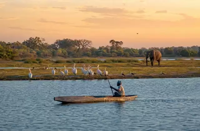Rive namibiane