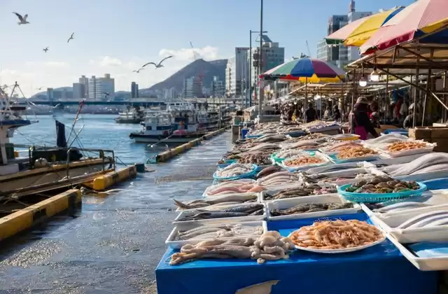 A Busan