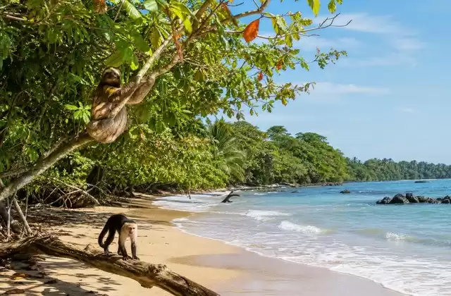 Attorno a Cahuita
