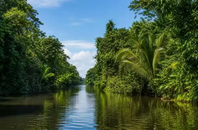 Da Puerto Limón