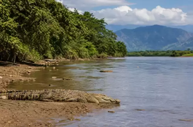 Da Puntarenas