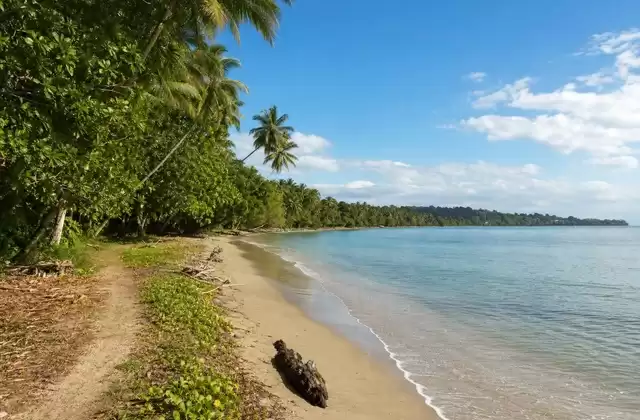 A Cahuita
