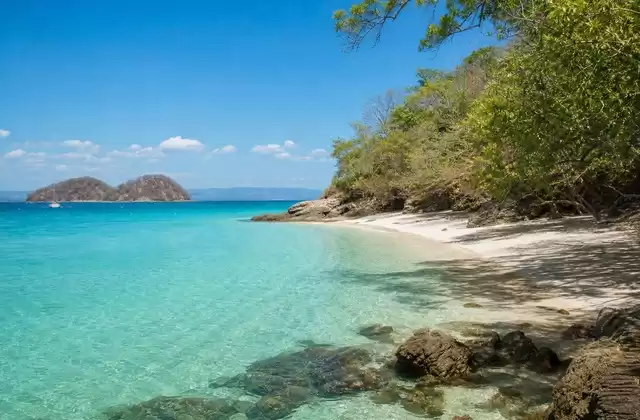 A Tortuga Island