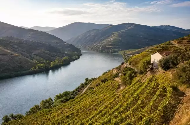 Valle del Douro