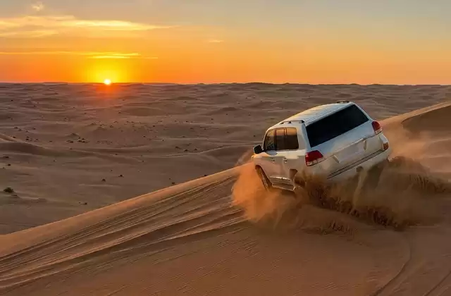 Nel deserto (Dubai/Abu Dhabi)
