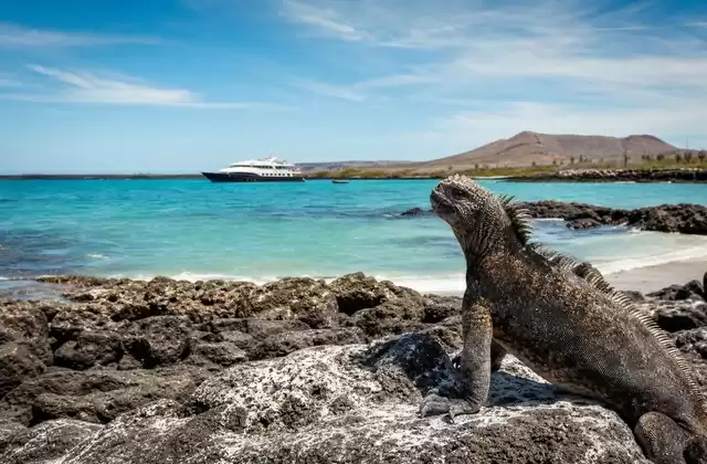 Alle Galápagos