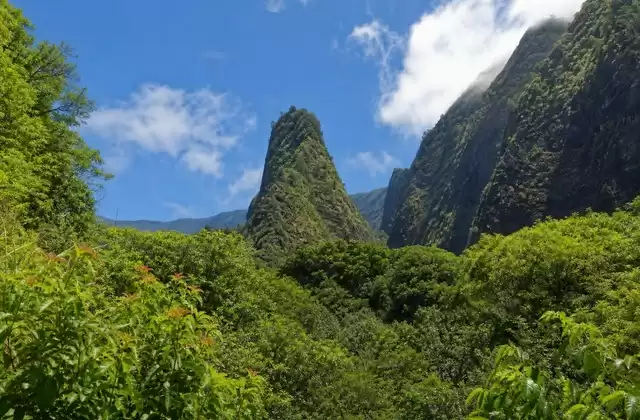 A Maui