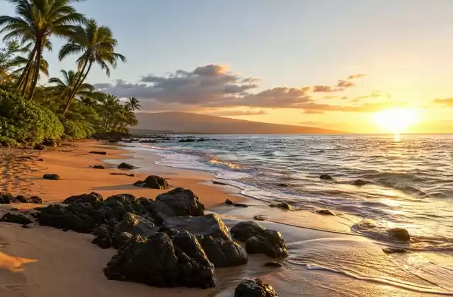 A Maui