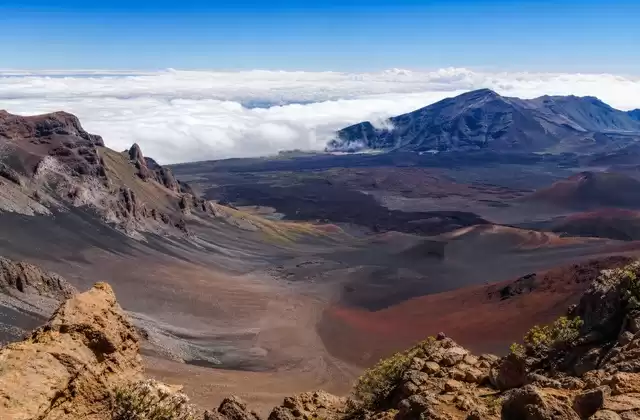 A Maui