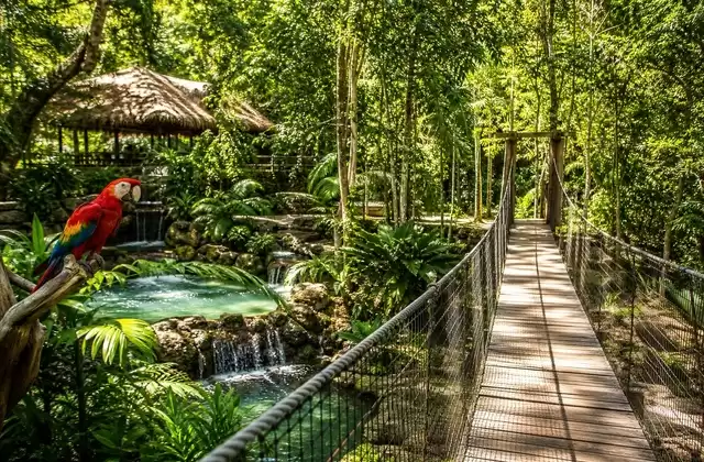 A Gumbalimba Park