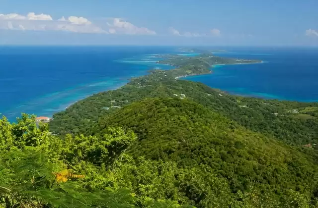Nell'entroterra di Roatán