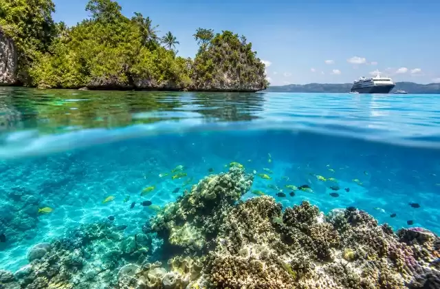 A Raja Ampat