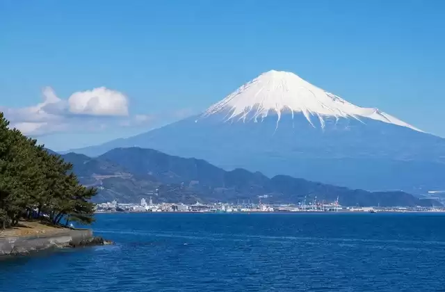 Da Shimizu