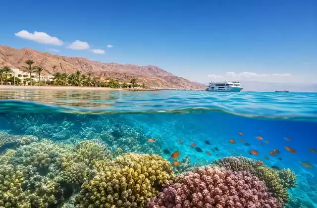 Sulle barriere coralline di Aqaba