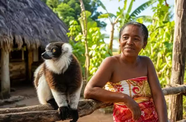 A Nosy Komba