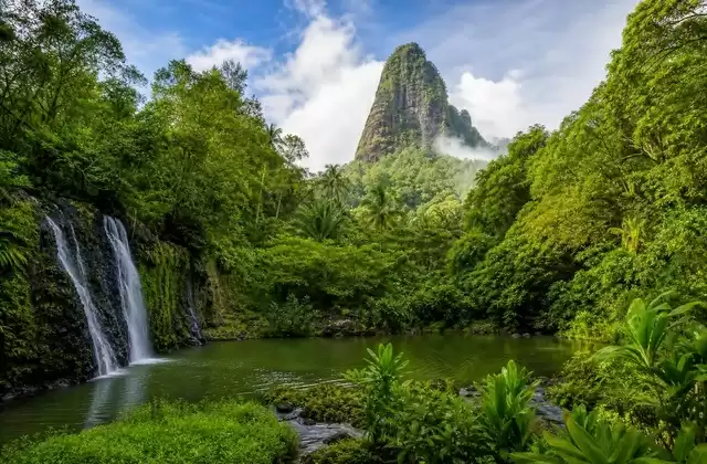 A Pohnpei