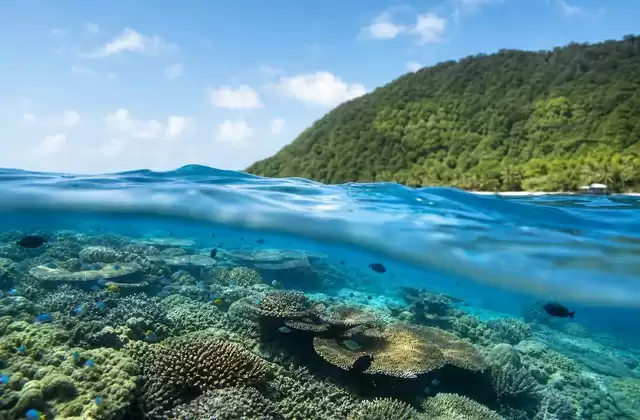 A Kosrae