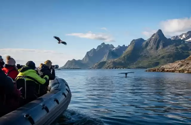Nell'arcipelago delle Lofoten