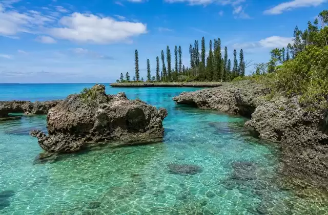 Sull'isola dei Pini