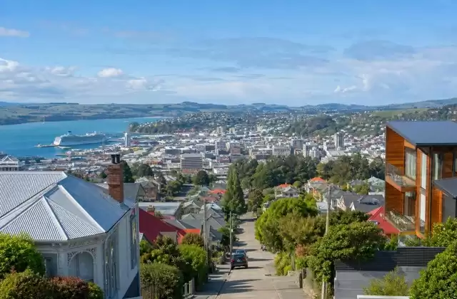 A Dunedin