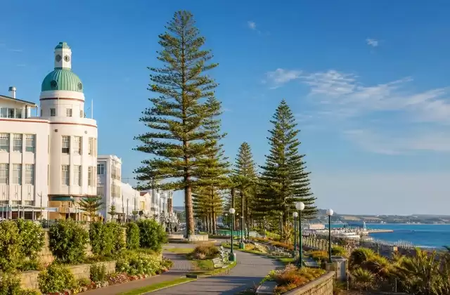 A Napier