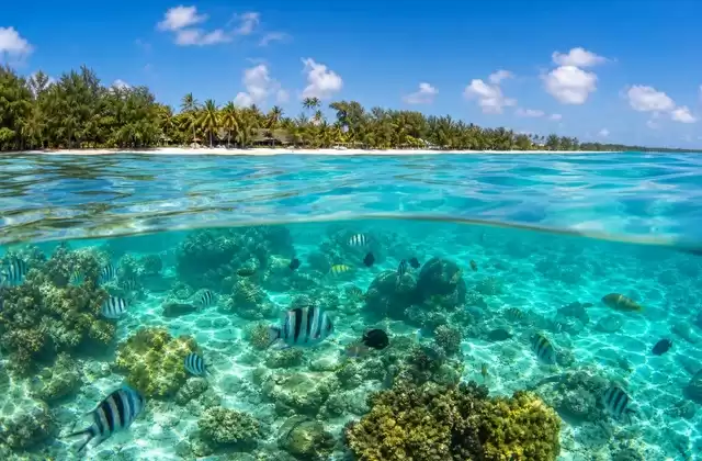 A Mauritius