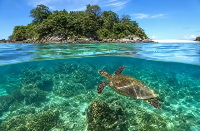In Madagascar (Nosy Be)